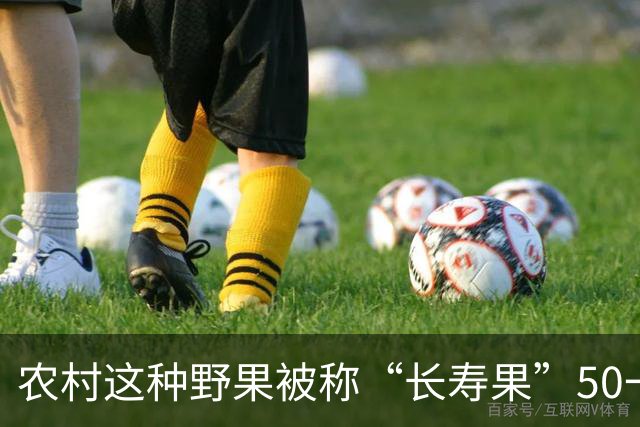 农村这种野果被称“长寿果”50一斤，农民不解其价值！用来烧火用？